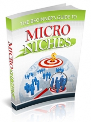 The Beginners Guide to Micro Niches - PLR
